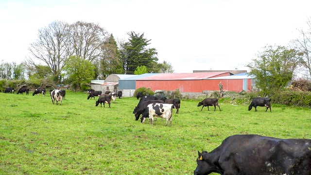 Climate bill does not set emission targets for agriculture - department