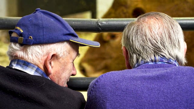 New TB testing rules described as 'a stick to beat marts'