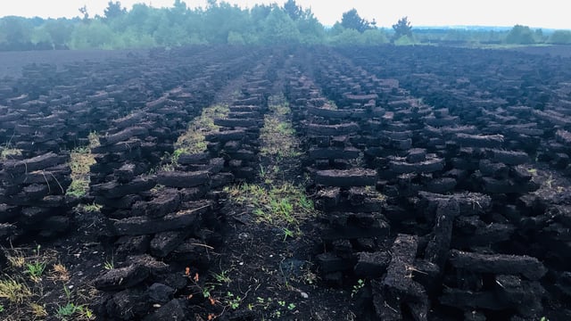 Turf cutting cannot proceed on Bord na Móna lands