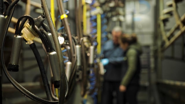 Milk recording: Better breeding decisions, milk solids and SCC