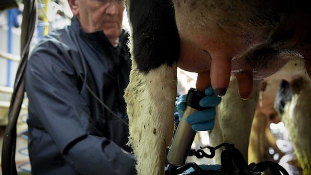 Concern remains but issues with 'mixed origin' milk have yet to transpire