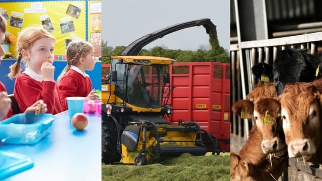 Opinion: A 'seismic impact' on Irish farming; but are we 'asleep at the wheel'?