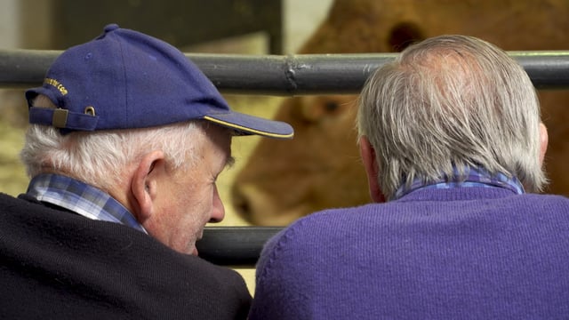 Marts: Last remaining Covid-19 rules at ringside removed