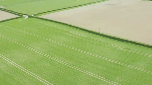 CROPS WATCH: Avoiding stress in spring barley is essential going forward