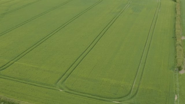Controls for Protein Aid Scheme to reduce on-farm inspections