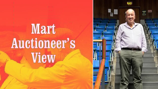 'Spring lamb prices were back as much as €10/head' - George Candler
