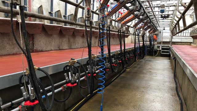 Milk Price Tracker: How does your co-op fare against its competitors?