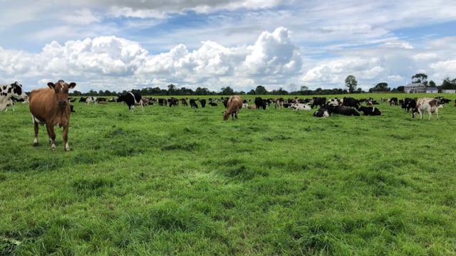 Time to put a plan in place for the breeding season...if you haven't done so already