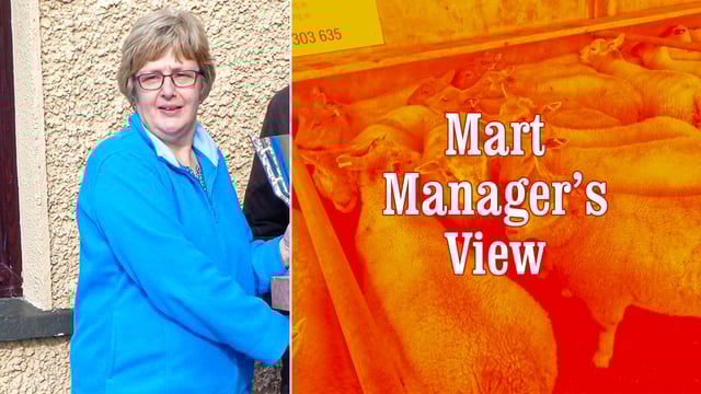 Mart manager's view: Online system failure at Ballinasloe Mart