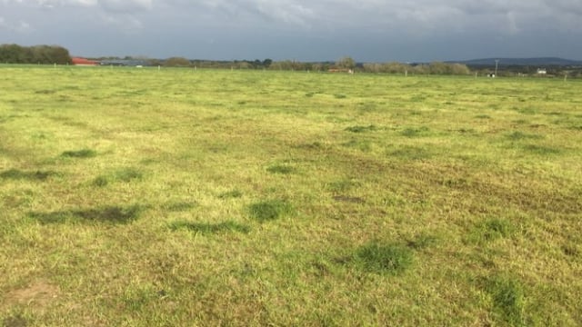 Grass growth: 'Farms that are heavily stocked are really feeling the pinch'