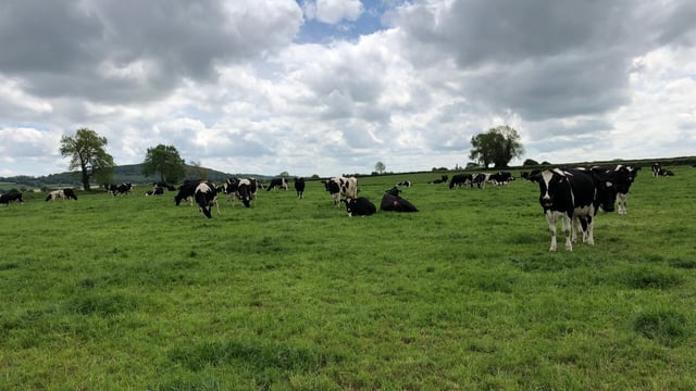 Are you meeting your breeding targets that you had set out?