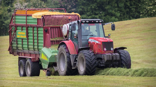 'Over the years, silage DM content has increased; but nutritional quality hasn't'