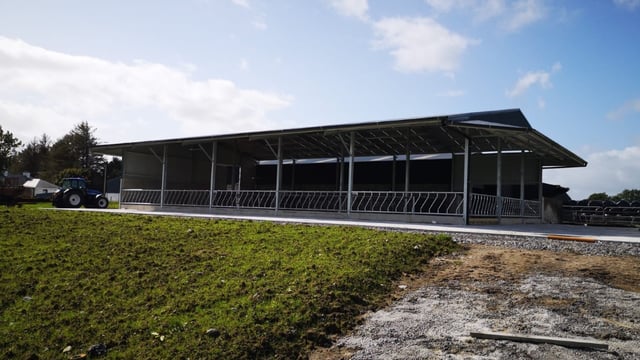 Buildings Focus: Brand new 50-cubicle shed for an expanding dairy herd in Co. Galway