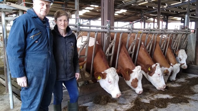 Dairy focus: Milking 60 pedigree Fleckvieh cows in Co. Laois