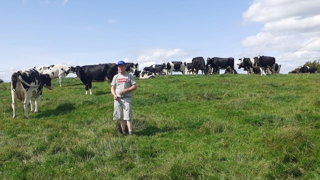 Replacing K after silage harvest is essential