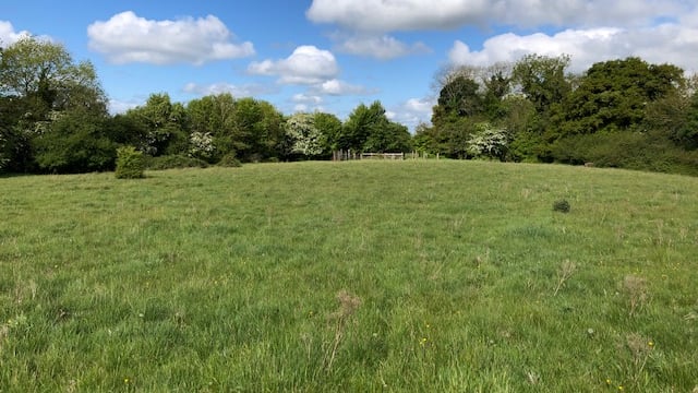65.4ac property guiding at €5,900/ac to go for auction in Co. Kildare