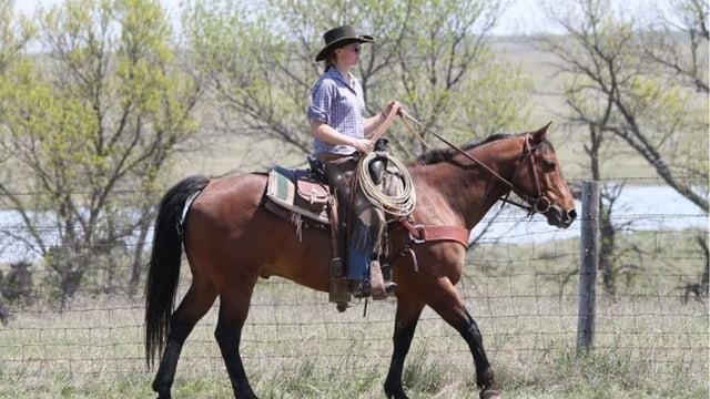 From ranches to rural Ireland: US student seeks work on Irish farms