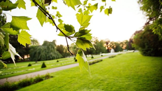 Swedish city dumps chicken manure in park to keep visitors away