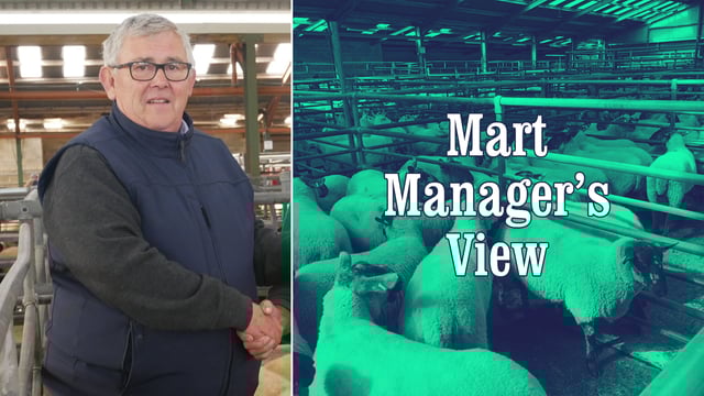 'This way of trading could become the new normal' - Blessington's John Doyle