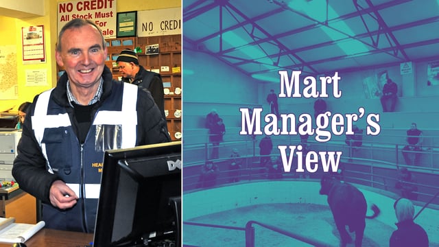 Success at first online cattle sale at Headford Mart