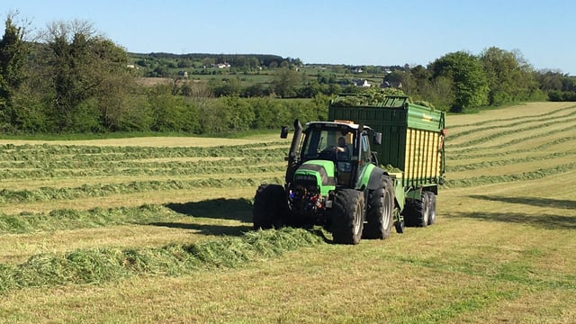 Survey results: 33% of Irish farms are financially 'vulnerable'