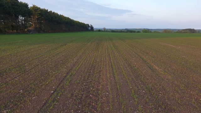 Reseeding 16ac with a red clover and Italian ryegrass mix in Co. Cork