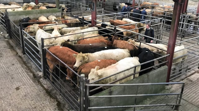 Cattle marts in 2020: Taking a look back at the year of online trading