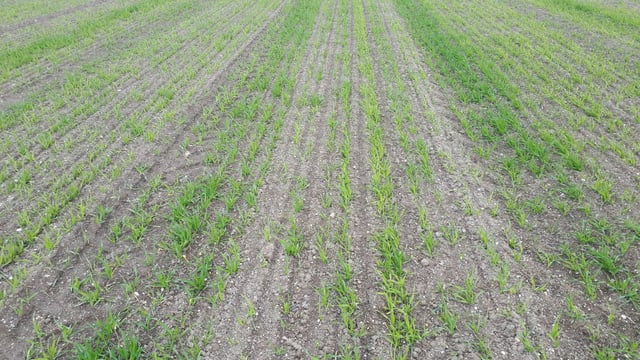 Opinion: Tillage sector will need a spring pick-me-up