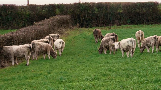 Early payments under Organic Farming Scheme commence
