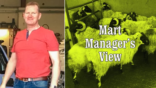 Ewes with lambs at foot make up to €304/head at Manorhamilton Mart