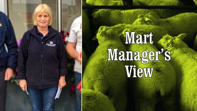 'Spring lamb prices have taken a substantial hit' - Roscommon's Maura Quigley