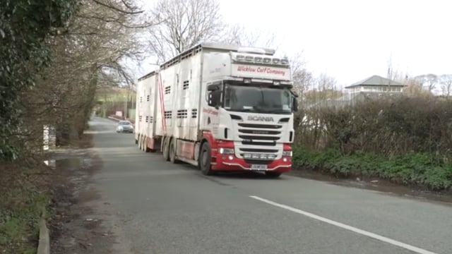 Dutch market disruption for Irish calves