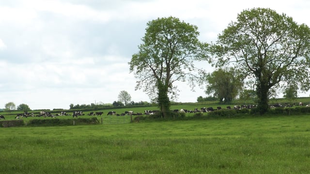 New land map can inform policy and benefit farmers