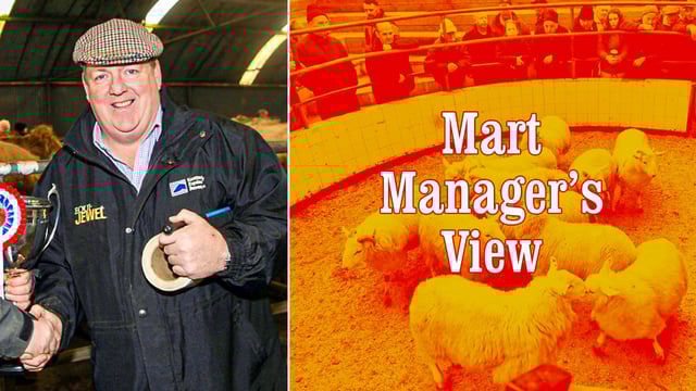 'It was great to see people around the ring again' - Baltinglass's Tom Coleman