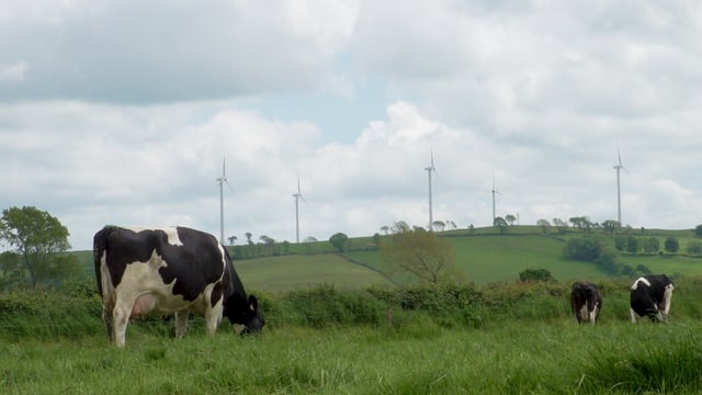 Minister confirms cap on revenues of wind and solar firms