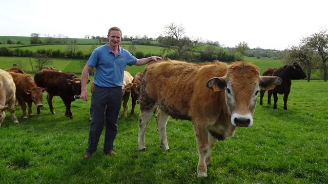 Meet Northern Ireland's 4 new Technology Demonstration Farms