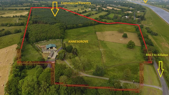 Rolling parkland and commercial forestry: 53ac idyllic roadside estate for sale