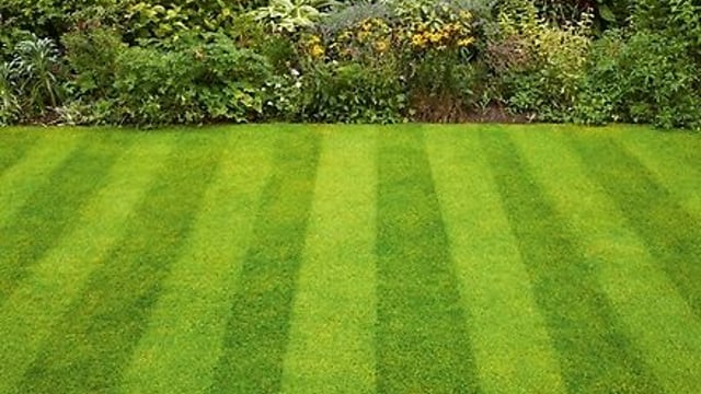 17% of pesticides on the market for non-professional use in Ireland