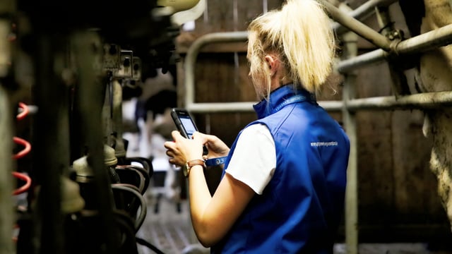 What are the key advantages of milk recording?