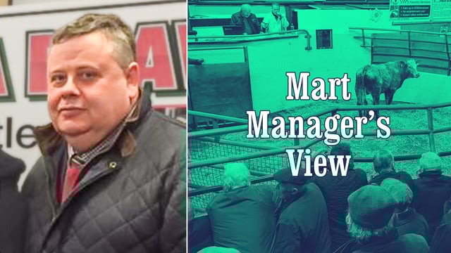 Firm trade despite challenging ground conditions - Brendan Egan, Castlerea Mart