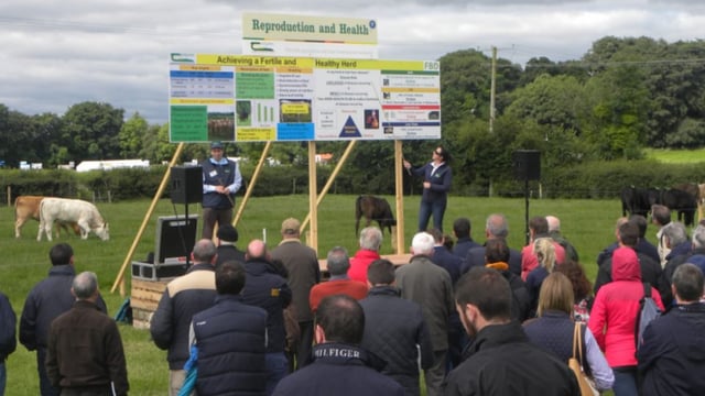 Virtual Beef Week 2020 plans in full swing