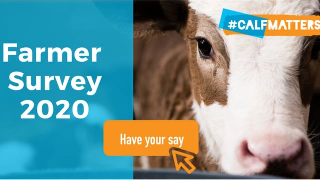 #Calfmatters survey: Want to be in with a chance of winning a calf jacket?