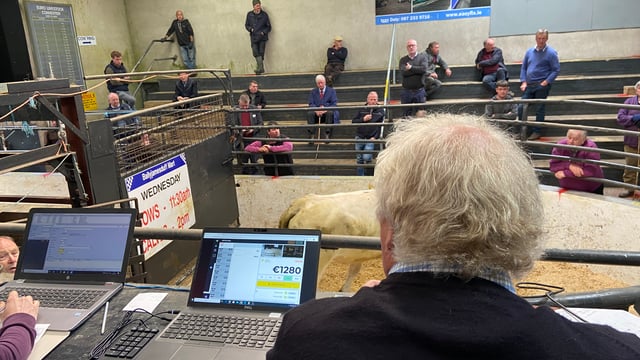 The new normal at Ballyjamesduff Mart