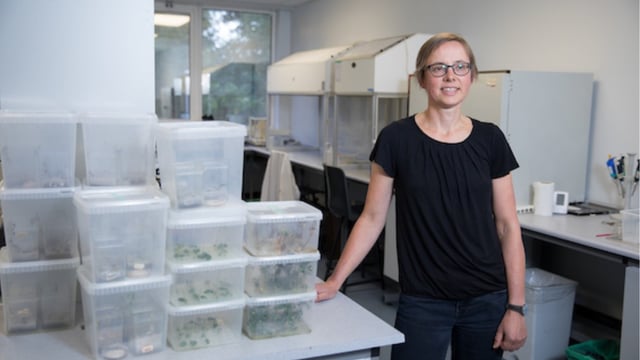 UCC's new ag science degree: How has the first year fared?