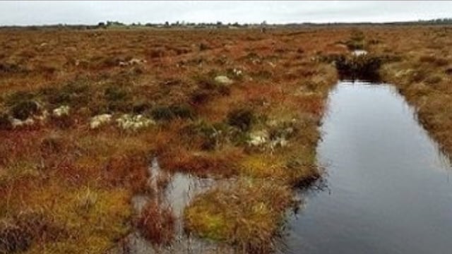 Grant funding doubled for 25 community peatland initiatives