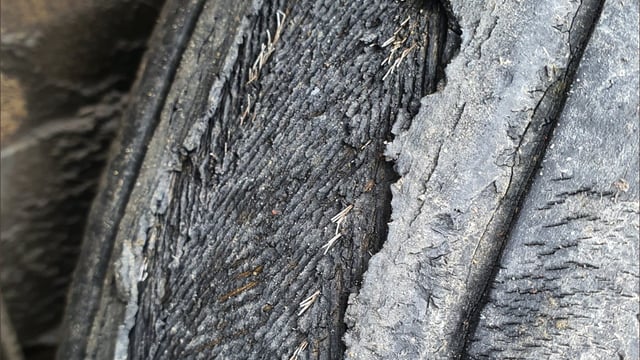 Tattered tyre lands driver transporting livestock in trouble