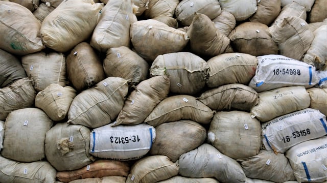 Wool Council sees 'beneficial' first meeting