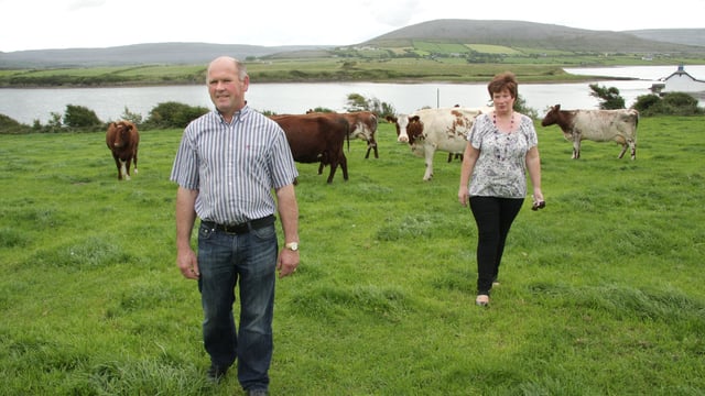 Diversification key for this Burren-based dairy farming family
