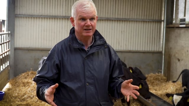 A vet's view to herd health in Teagasc Grange