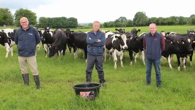 'Increased demand' for feed blocks to prevent summer mastitis